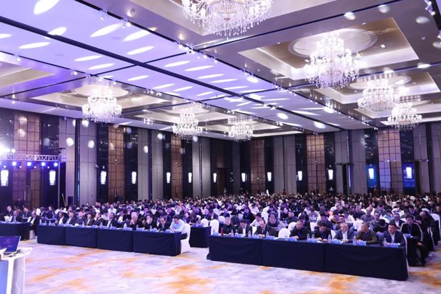 北新防水获评2025年度“弹性地板行业十大国际品牌”“运动地板领先品牌”两项大奖