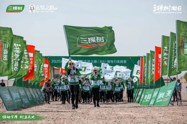 向上生长 向下扎根丨2025年三棵树大事件回顾