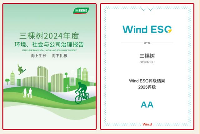 向上生长 向下扎根丨2025年三棵树大事件回顾