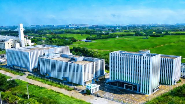 君子兰集团2025年度盘点：四大维度铸就行业标杆