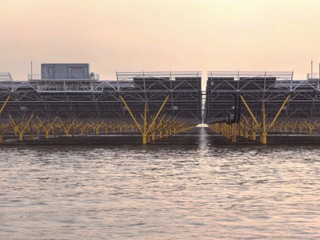 全球最大开放式海上光伏项目全容量并网,双瑞涂料筑牢国家能源工程关键防线