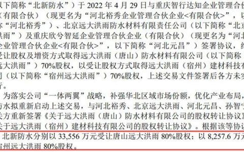 北新防水与远大洪雨完成联合重组，“央企+民企”能否重塑市场？
