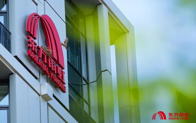 雨虹人集合!2026“文化实践官”上线,健康+学习+公益还能拿大奖