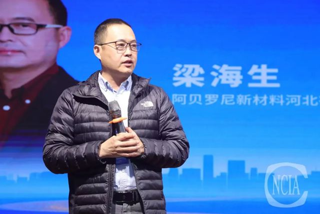 聚智汇力,携手前行——2026年艺术涂料、无机涂料行业高质量发展恳谈会在成都完美闭幕