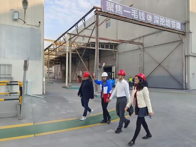 北新嘉宝莉携手行业权威,共探涂料标准实施新路径