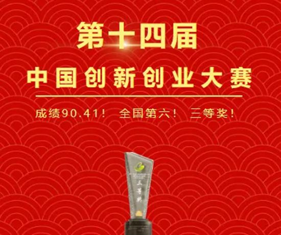技术引领，全球布局——倍特尔 2025 高光盘点