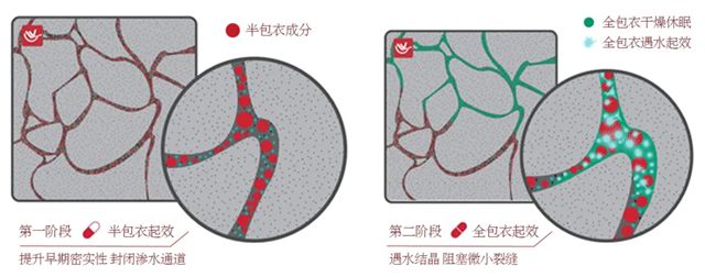 大隐于水 | 一位防水女企业家破局重生的故事