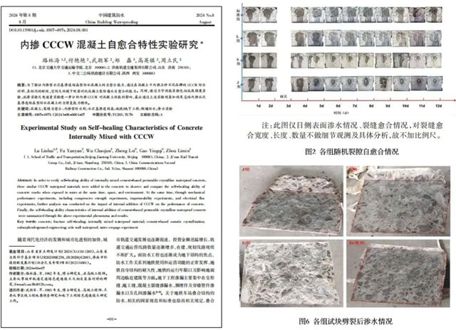 大隐于水 | 一位防水女企业家破局重生的故事