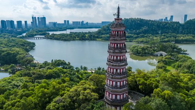 科顺股份 | 佛山市深化营商环境改革大会隆重召开,集团总裁方勇受邀与会并发言