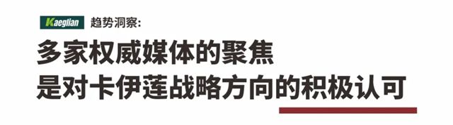 破局旧改深水区:卡伊莲“系统战”引发行业关注,获多家权威媒体聚焦报道