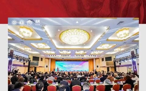 白兔瓷砖【真石系列】荣获2025“京闻·创响杯”产品设计——建筑陶瓷三等奖