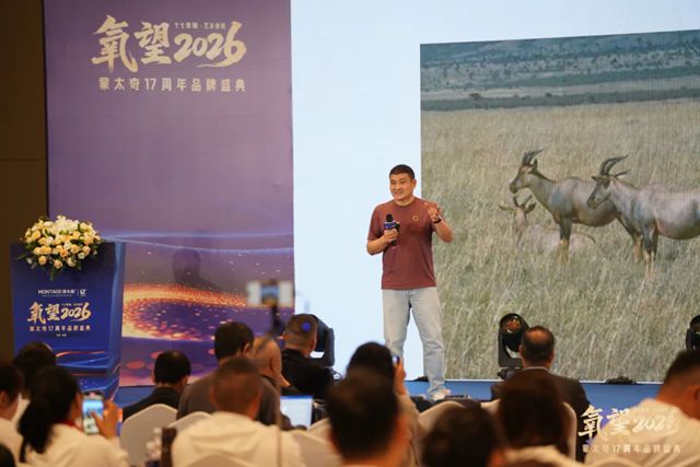 氧望2026 | 蒙太奇17周年品牌盛典圆满落幕