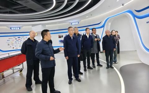 西北永新 | 实干为笔绘就发展新图景