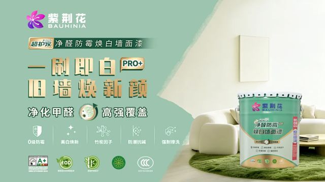 新质引领，共赢未来 | 紫荆花2026新零售战略发布暨生态共建大会圆满落幕