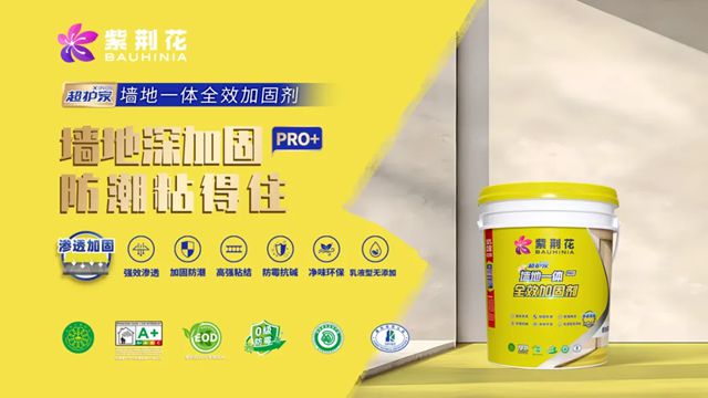 新质引领，共赢未来 | 紫荆花2026新零售战略发布暨生态共建大会圆满落幕