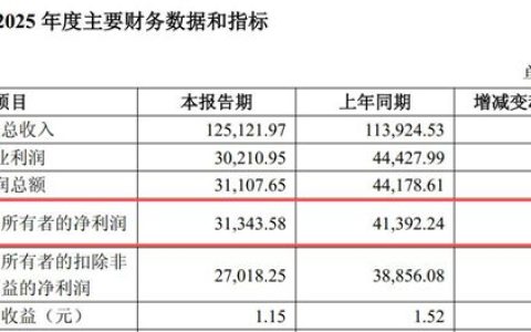 1亿没了！市场炸裂！小巨人去年净利跳水，翻车还是憋大招？真相让股民炸锅