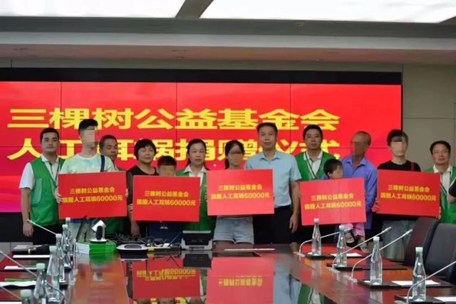 三棵树以爱点亮闽宁听障者希望之光