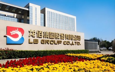 蛇吞象英雄退休，疯狂套现23亿元，龙佰集团竟然说没事