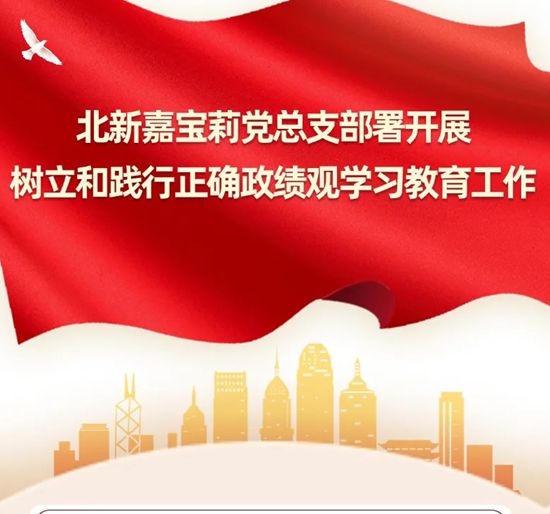 北新嘉宝莉党总支部署开展树立和践行正确政绩观学习教育工作
