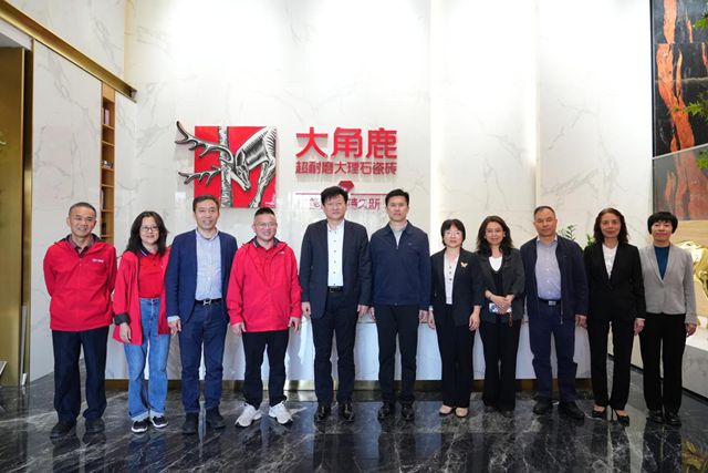 商务部领导专家莅临大角鹿指导，共促提升中国瓷砖全球竞争力