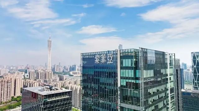 拟10派8，索菲亚以长期主义抵御市场波动