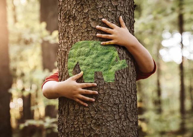 百年DAW的绿色密码：守护建筑，更守护我们的共同家园