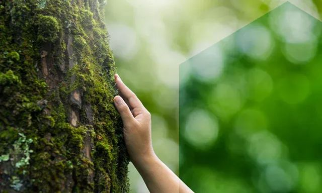 百年DAW的绿色密码：守护建筑，更守护我们的共同家园