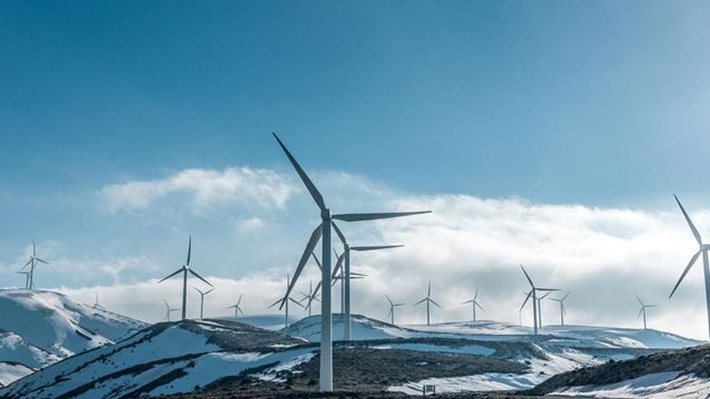 麦加芯彩发布2026上半年业绩预告,净利润最高预降68%