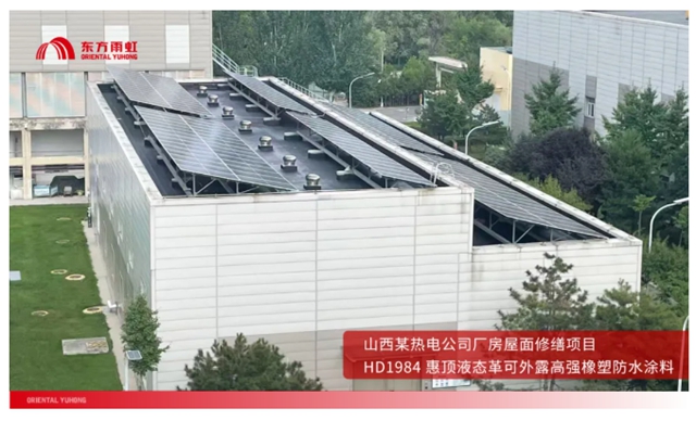 东方雨虹: 以龙头之力,引领中国建筑修缮行业新发展