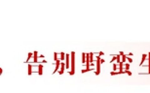 东方雨虹: 以龙头之力，引领中国建筑修缮行业新发展